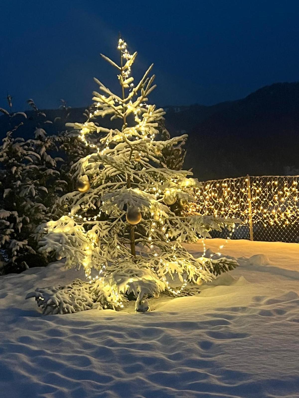 Chalet Tschattlhof Dolomites Cavalese Exterior foto